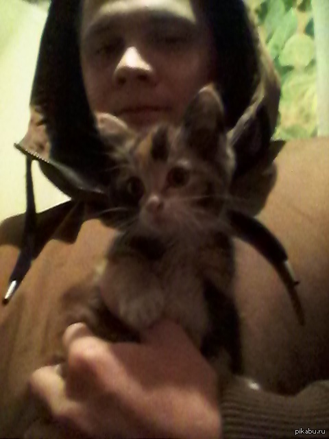 �����! � ��������� ���� ��������� ������ , ����� �������� , ����� ���� ���� �����? ��� ������ �����������?