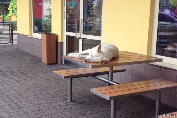 �������������� ������ ������ ����� ���� ����� � ������������ � ������ �������=)