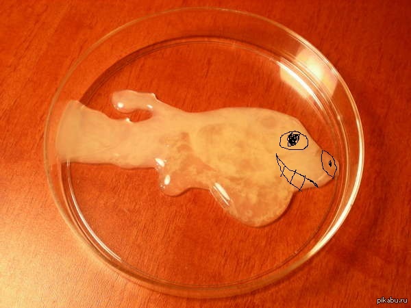  . . , paint.    ,  .