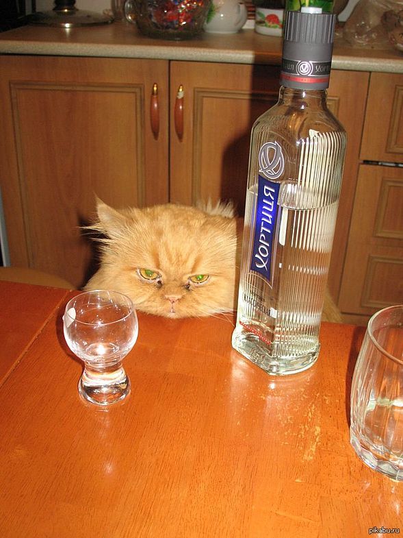 Пора завязывать.....