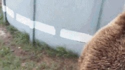     :D 