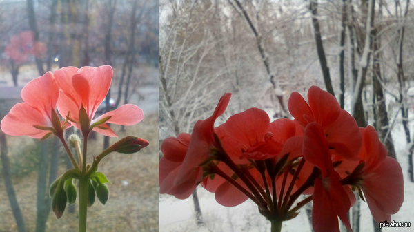 ������ 6 ����