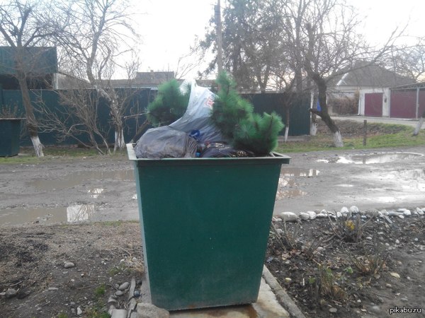 ��� ���� ������ ������.