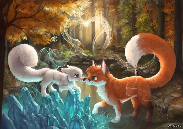 ����� �����