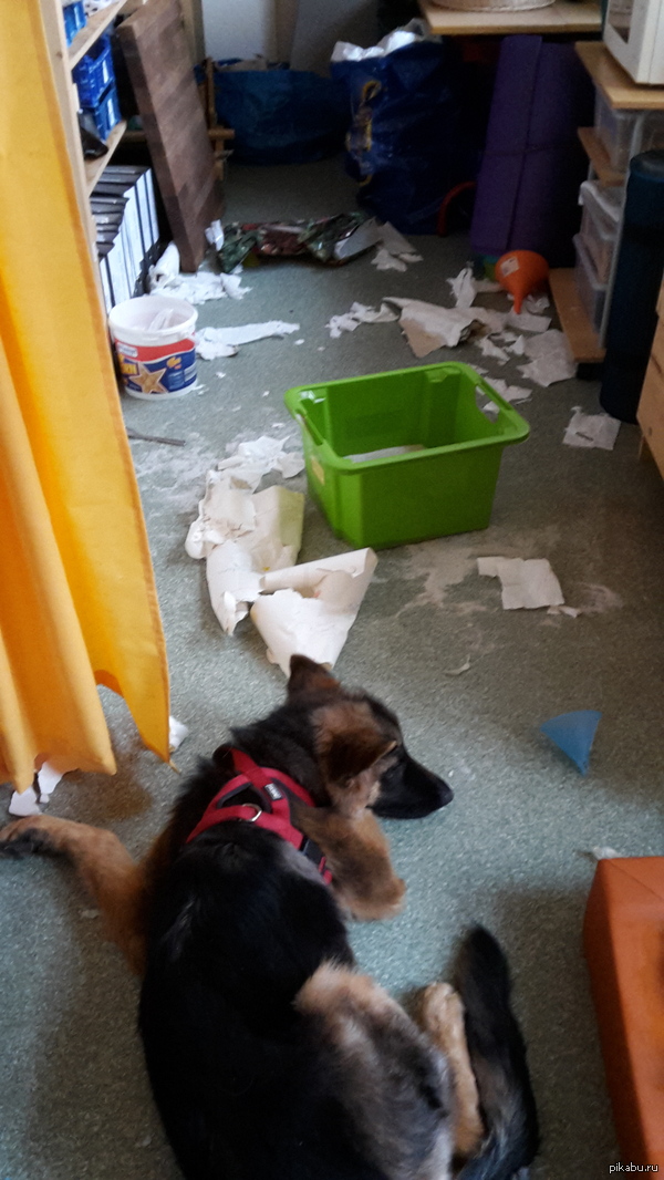 ��� �� ��� ������ ����-��.