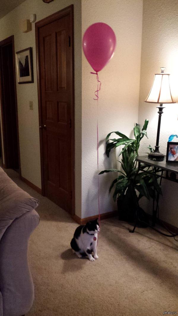 &quot;     10  ,       .&quot;