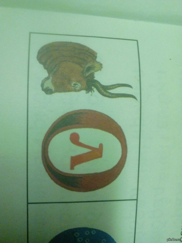 Ребус первого класса | Пикабу