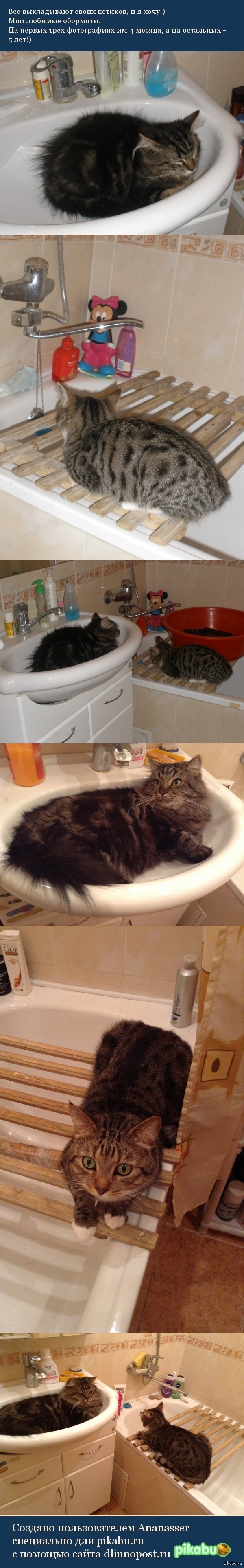 ������ 5 ��� �� ��� �� ����� ^.^