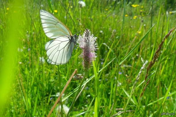      ...   (.    ...  ... )