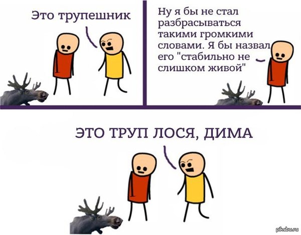 Ситуация в экономике РФ стабильная и Россия справляется со всеми вызовами, заявил Дмитрий Медведев