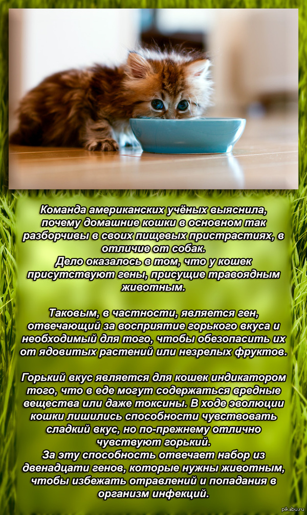 ������ ����� ��� ������������ � ���?