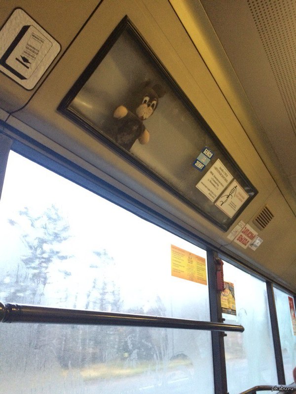 При плохом настроении разбить стекло | Пикабу