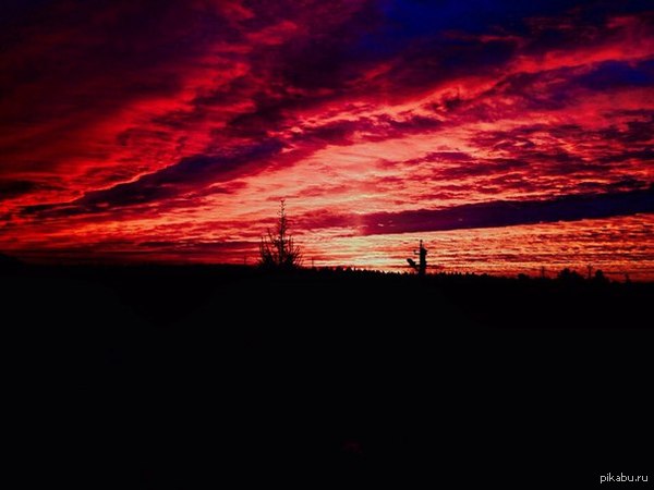 ���� ��� �������