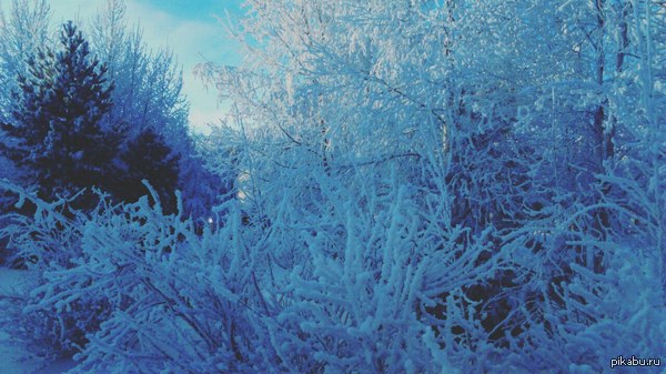 ���� �� ��������