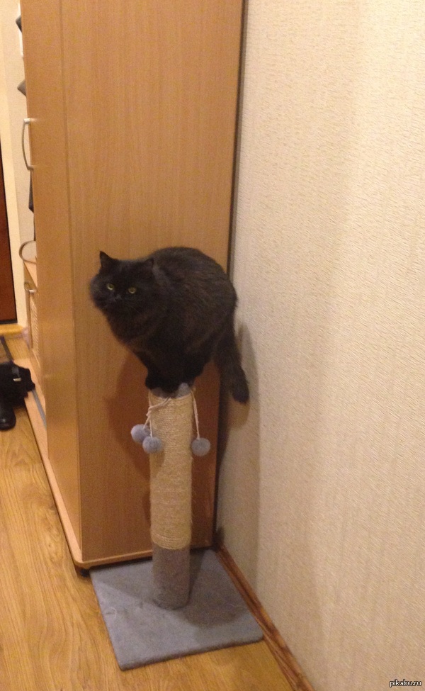 ������-��������� :)