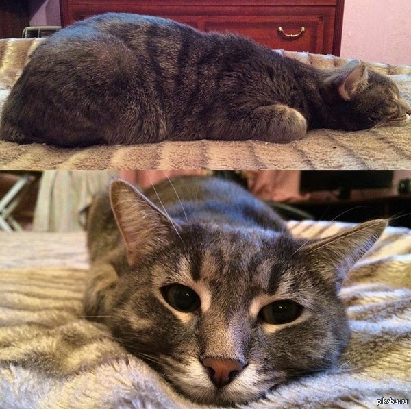 ������� �������� ��� � �����