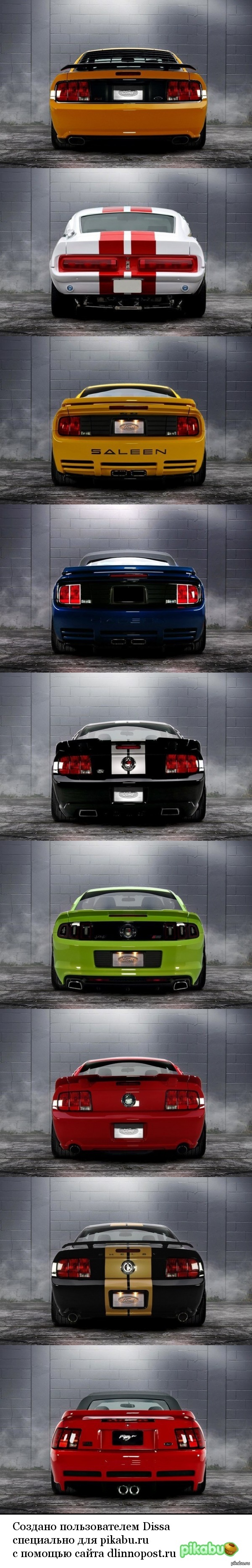 Mustangs Ass   ""