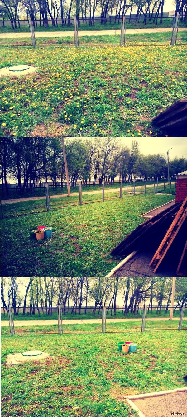 Ƹ����, ��� ���������- ������ ��������