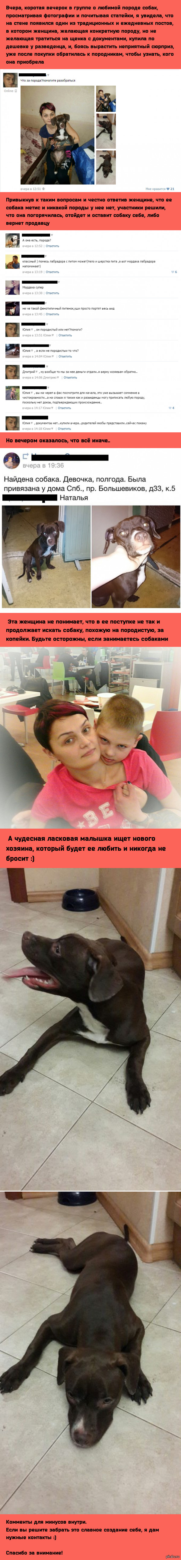 Мокрый нос ищет дом, а героев следует знать в лицо