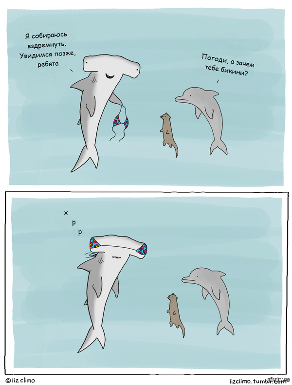       Liz Climo