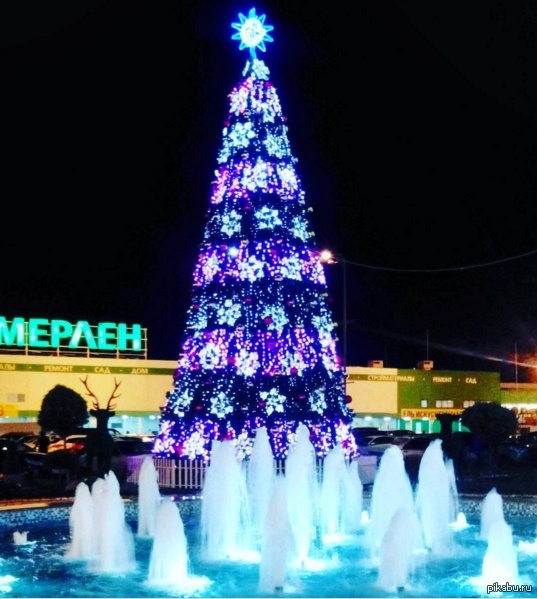 �� ���� ��������� � ������ ����