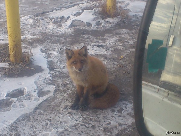 ��� ��� �������. ����� ���� �����.