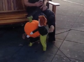   ) 