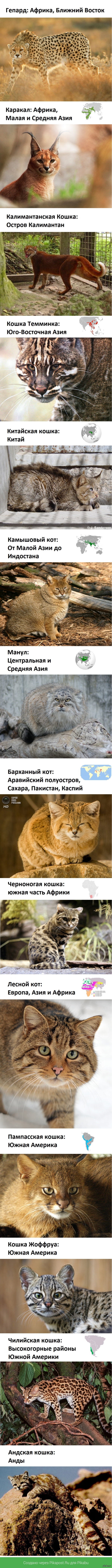 ������ � �������