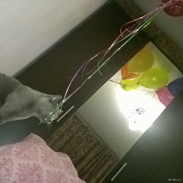 Котэ любит шарики