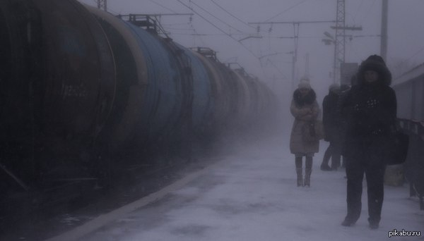 Мои любимые поезда...