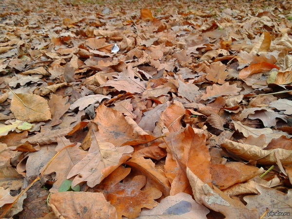 Осень Кончается