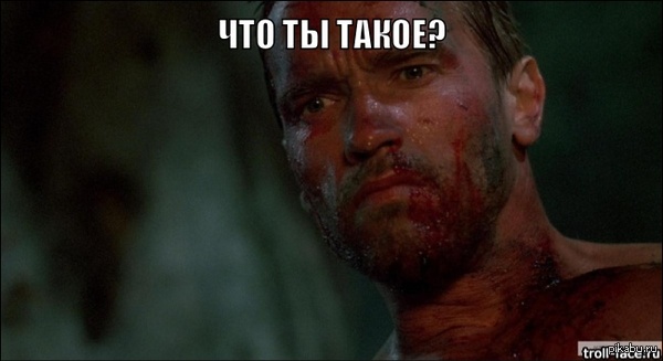 Моему единственному и неожиданному подписчику.