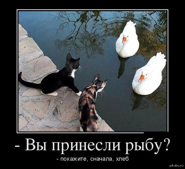 ������ !