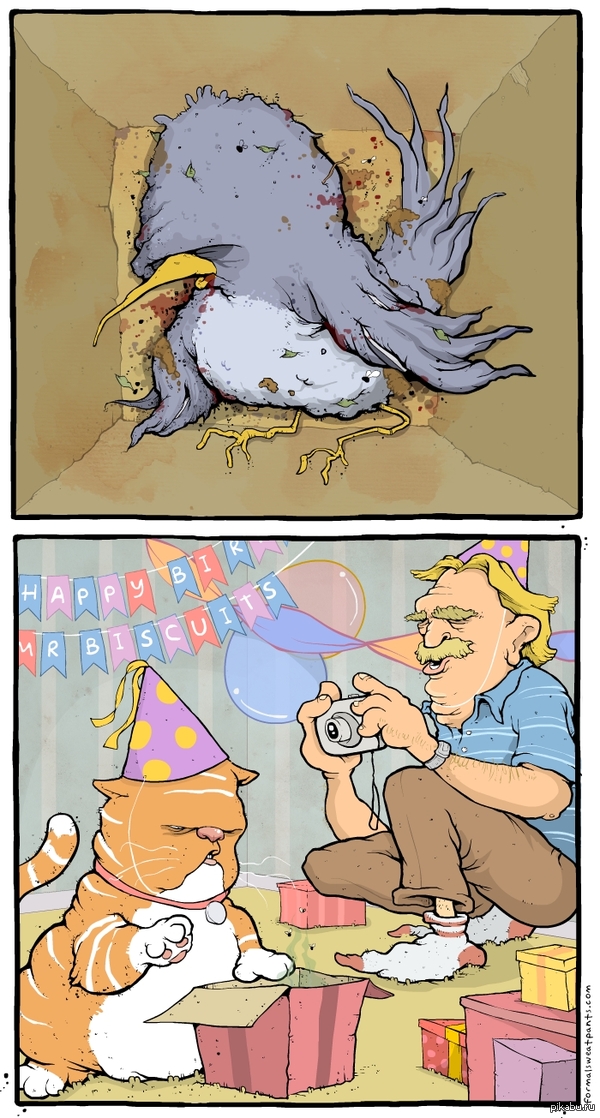 ���� ��������!