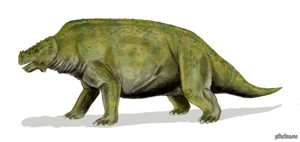  ()      ,    254-252 .      .