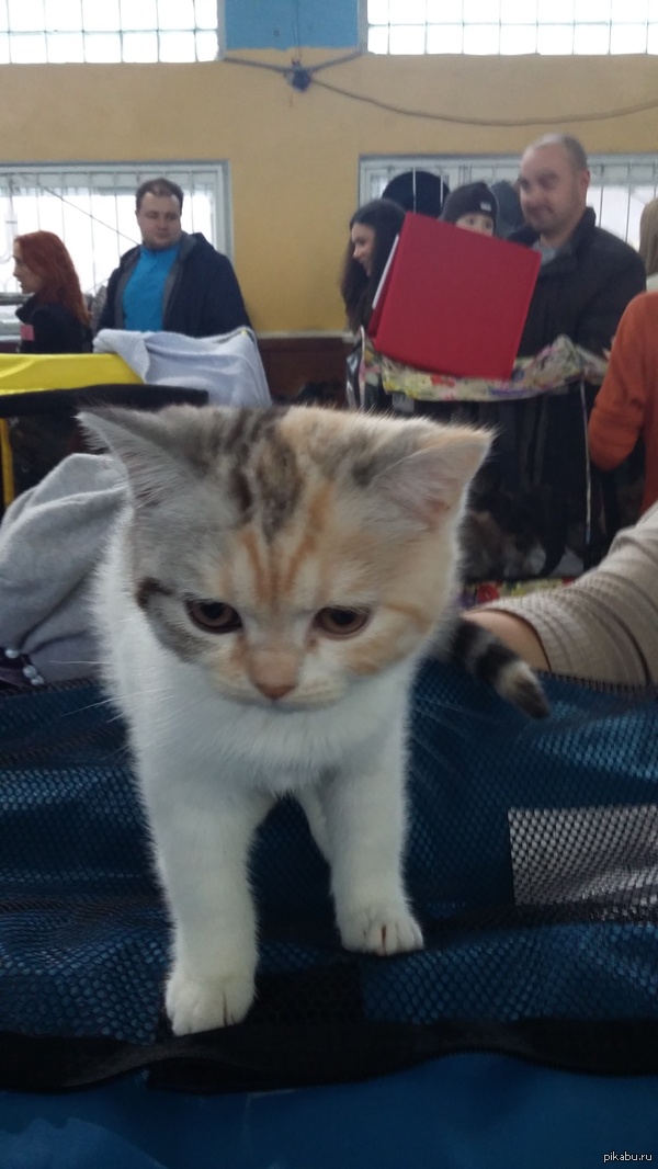 � �����, � ����� �������