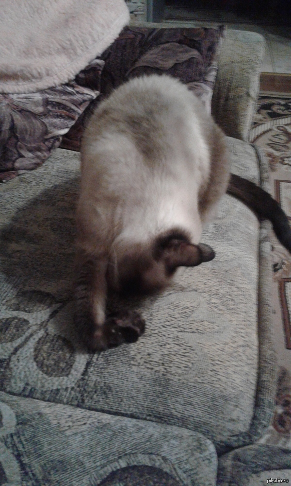 �������� ��� ����� ���������