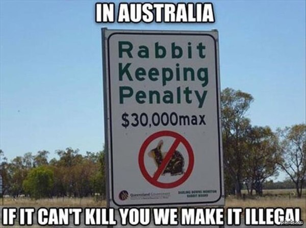 В Австралии мы просто запрещаем держать животных,