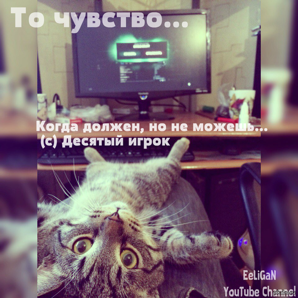 �� �������... Dota 2