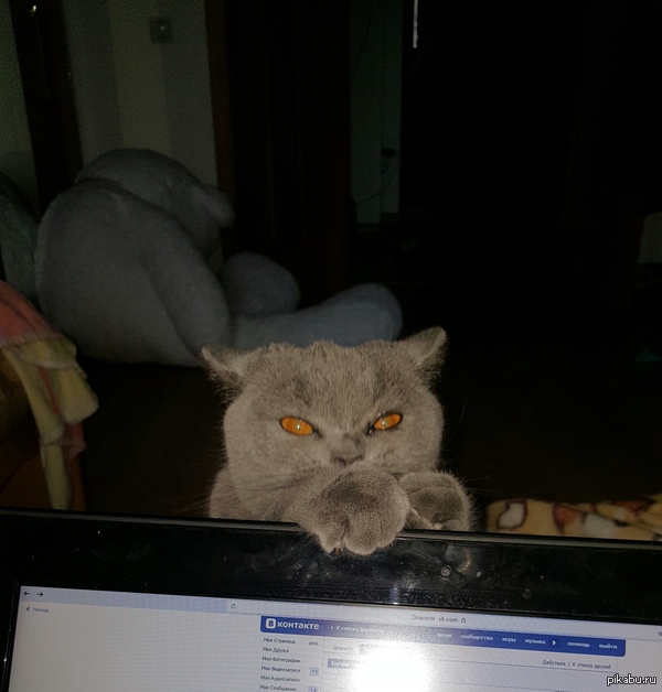 ����� ���� �������� ���-�� ���������