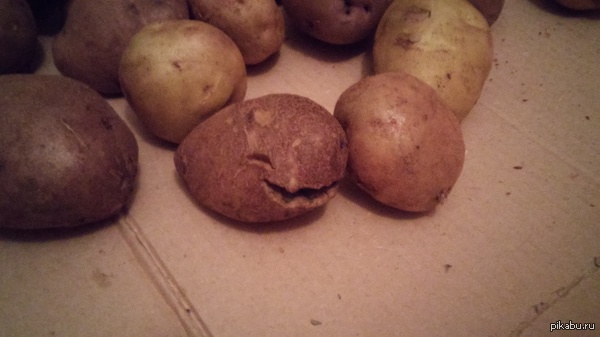 ��� � ���� ������,������� "��������"?