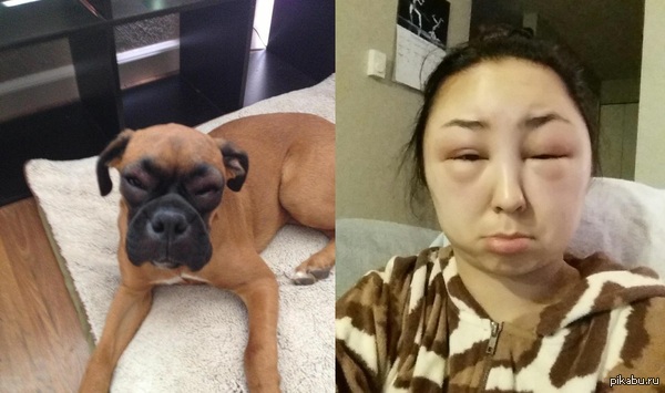 ���� ��� �������, ����� ������� ������? :D