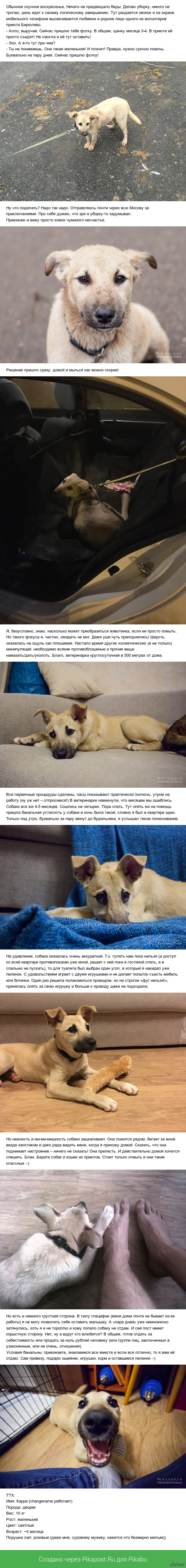 Стоит только помыть
