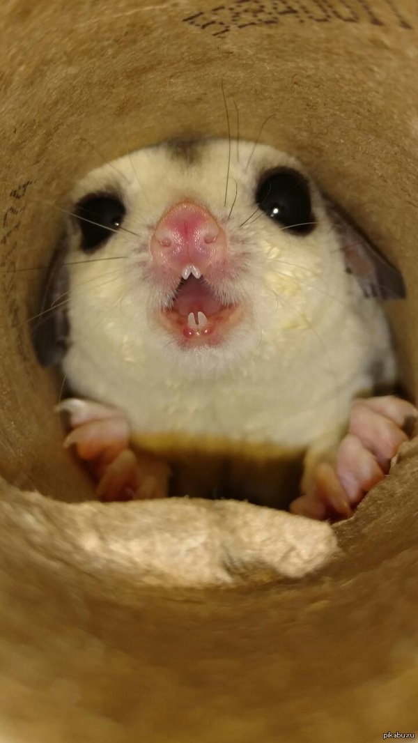   ? 