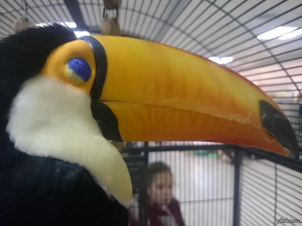 � � ������ ���� �� ��������