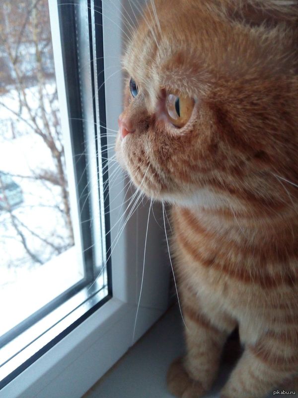 ����� � �������