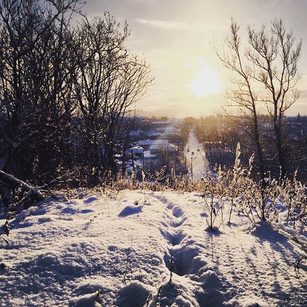 Немного Сахилинского снега.