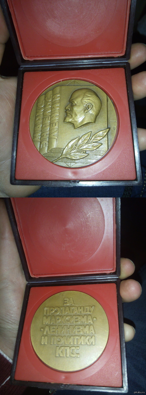 ���������� ��������������