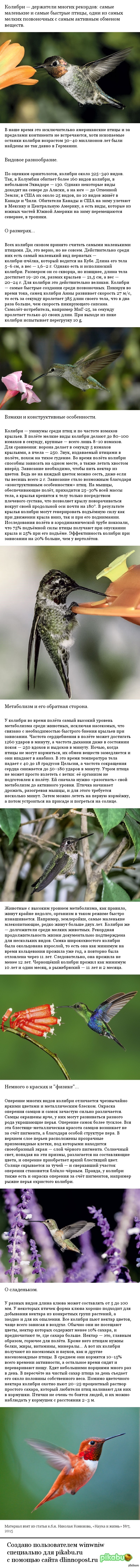 ������-�������