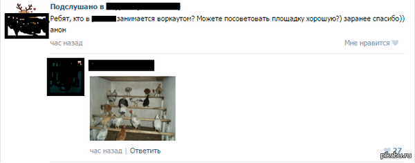 �������� ��� ��������.